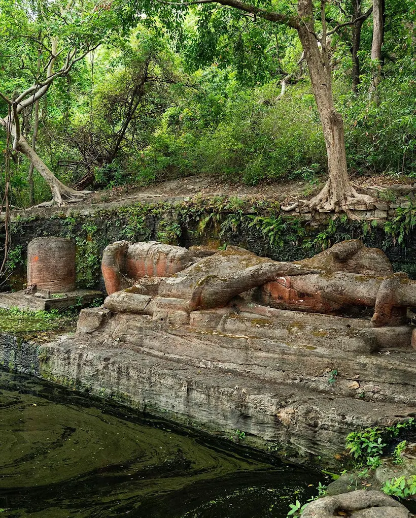 Ajanta & Ellora Caves: India's Timeless Masterpieces of Art, Faith, and Architecture Travel Blog